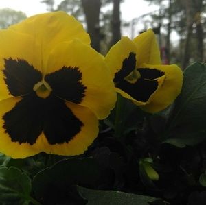 Meet your Posher, Jose